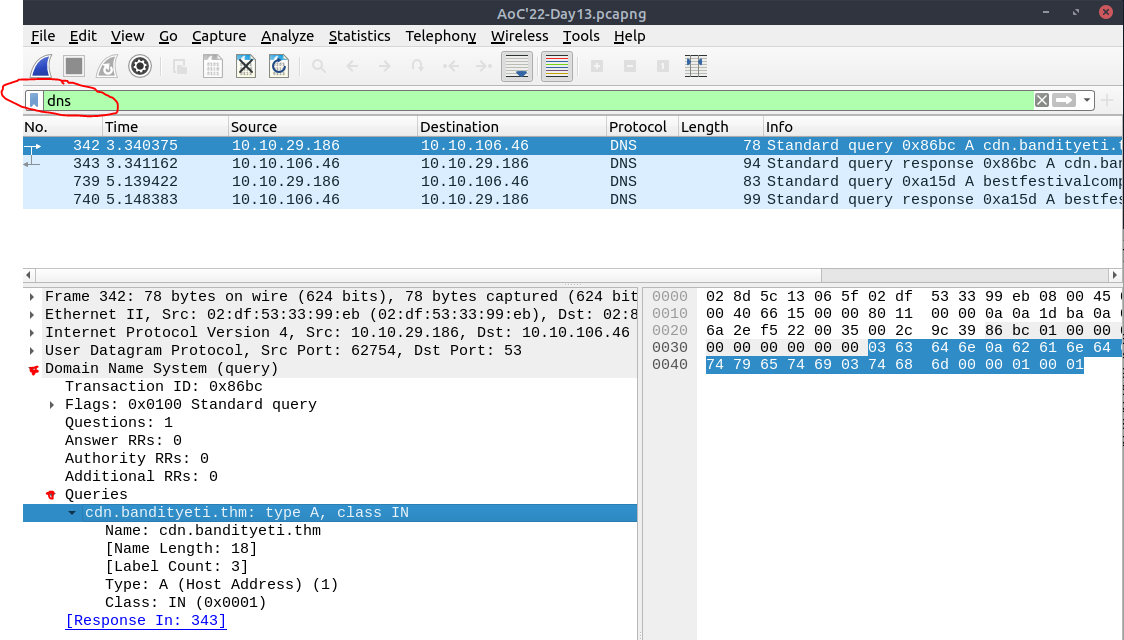 Wireshark DNS Query